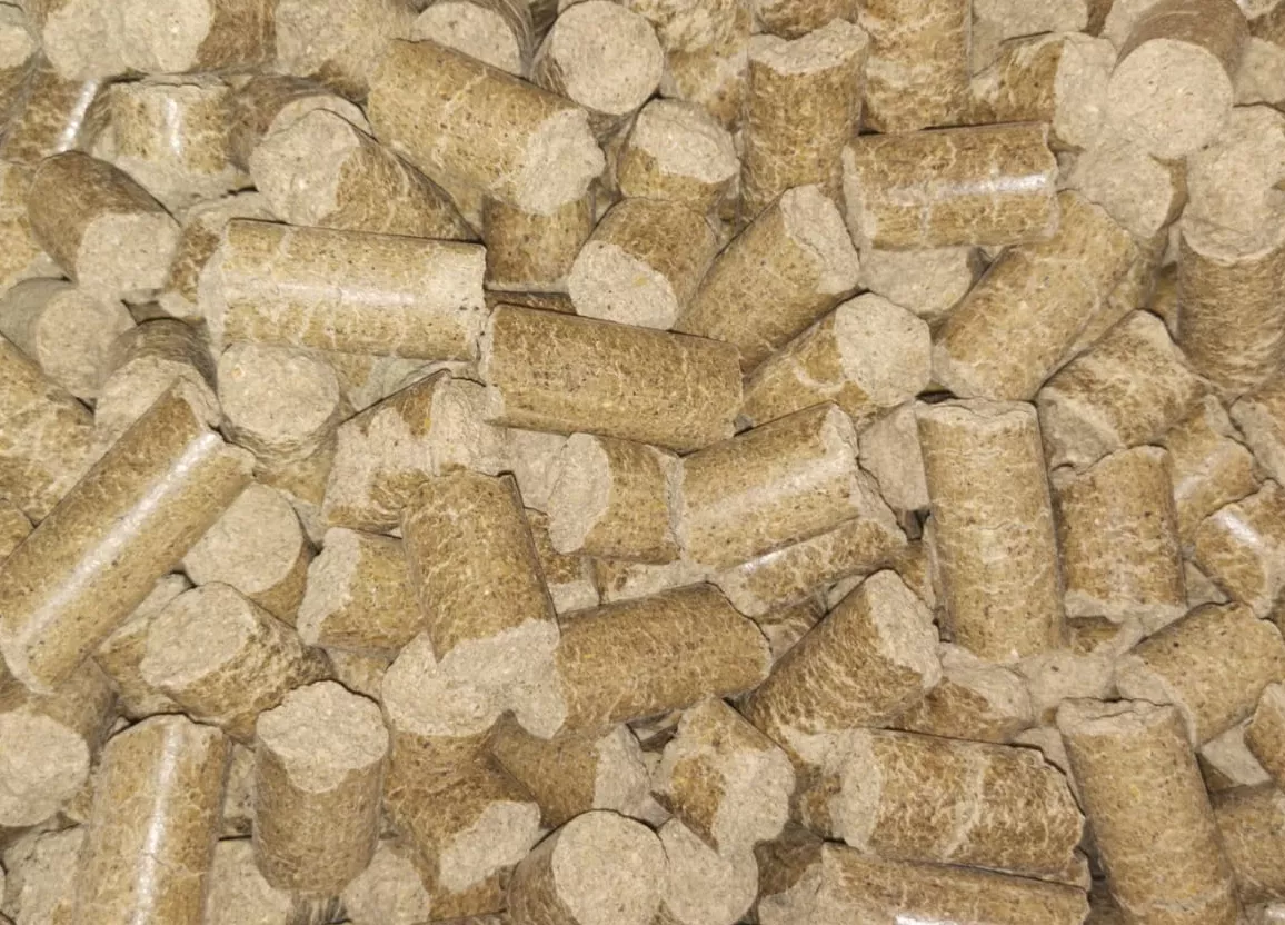 NutriCubos - Imagen 2